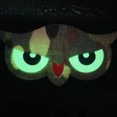 フクロウ 目 蓄光 マルチカム 【278】ワッペン ベルクロ付