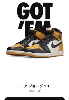 Nike Air Jordan 1 Retro High OG 