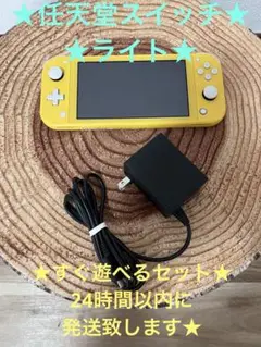Switch Lite 完動品 箱無し Nintendo Switch 任天堂 Lite ニンテンドースイッチ ライト