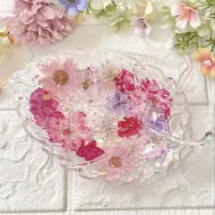 木の葉型小皿 No.2295 固まるハーバリウム