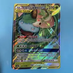 フシギバナ＆ツタージャGX RR 海外版