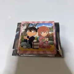 2025年最新】名探偵コナン コナンランド メモリアル 灰原哀の