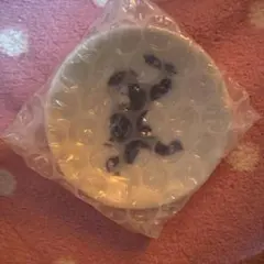 Item thumbnail for item 201c38af-d0d4-4825-bf7d-3b099638fce5