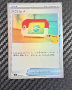 ポケカエラー ポケパッド サーフゴーエラー 30th