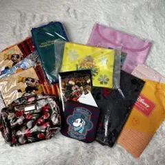 未使用品 ディズニー ポーチ バッグ 10点セット