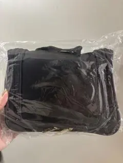 サルート ポーチ