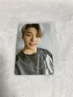 SEVENTEEN セブチ 2019 シーグリ トレカ ディノ