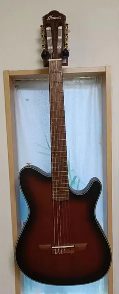 Ibanez FRH10n ガットギター　ホロウボディのサムネイル