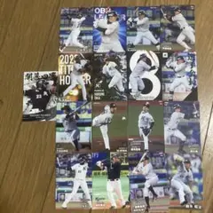 千葉ロッテマリーンズ 選手カードセット 17枚