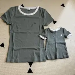 GAP クマ