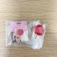 新品 ズートピア ブリスターチャームコレクション アイスキャンディチャーム 2点