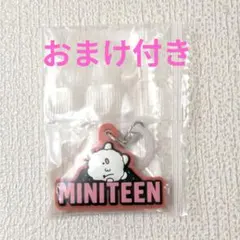 SEVENTEEN MINITEEN めじるしアクセサリー ウジ おまけ付き