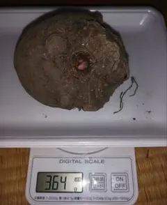 saffraan様 リクエスト 10点 まとめ商品