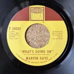 Nanja Man Sound Cross The Border レコード - メルカリ
