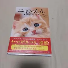 ニャンたん : 猫英単語