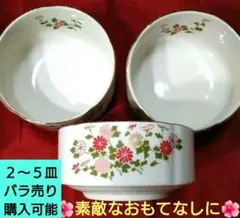 ♦ディスプレイ用♦新品・未使用♦希少なヴィンテージ品♦有田焼中皿⬛１皿