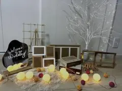 ウェディングウェルカムグッズアイテムセット　ドレス色当てセット