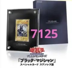 大幅値下 10000名様限定 当選品 ブラック・マジシャン・ガール ステンレス製 ステンレス製『ブラックマジシャンガール』 プロモの通販 土日祝