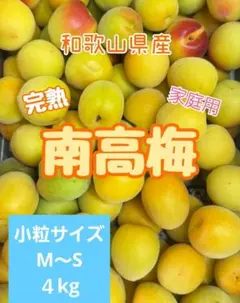 色付き‼️和歌山県産 完熟南高梅 3L.2Lサイズ 4kg みかんキング 和歌山県産 完熟南高梅‼️3L〜4L混合‼️3kg みかんキング - メルカリ