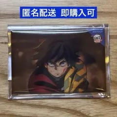 【冨岡義勇】全方位コレクション缶バッジ 鬼滅の刃 劇場物販 無限城編