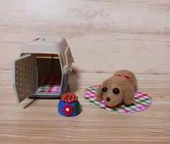 羊毛フェルトの小さな々ダックスフンド　キャリー・餌・下敷き付き