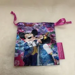 ディズニーリゾート イマジニングザマジック 巾着 実写 ミッキー ミニー