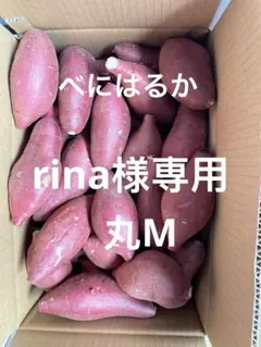 rina様専用　丸M 5キロ