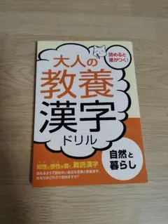 漢字ドリル 学習参考書