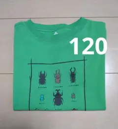 mont-bell 甲虫プリント Tシャツ 120　モンベル　昆虫