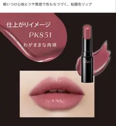 ヴィセ visee ネンマクフェイク ルージュ / PK851 わがままな肉球