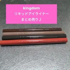 kingdom リキッドアイライナーおまとめ売り♪詳細はご覧下さい！のサムネイル