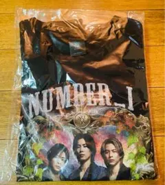 Item thumbnail for item bc641639-43f9-4d95-82bc-99b837edf483