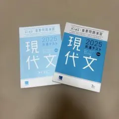 現代文 2025 共通テスト 重要問題演習