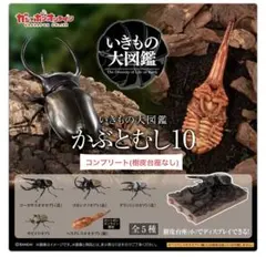 いきもの大図鑑　かぶとむし10 コンプリート　オンライン版　樹皮台座なし
