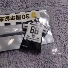 Item thumbnail for item c1bf5c8b-7111-4b94-a081-e020cef87376