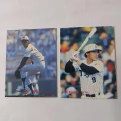 直筆サイン色紙　掛布雅之　藤田平　佐野仙好 2025年最新】阪神 掛布 サインの人気アイテム - メルカリ