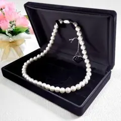 Item thumbnail for item f66ef123-7744-43c6-a01a-a47b5236c6df