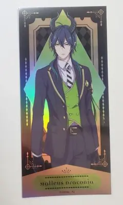 マレウス ルディコレ