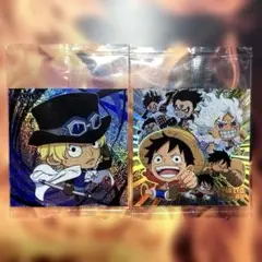 【ワンピース】モンキー・D・ルフィ&サボ
