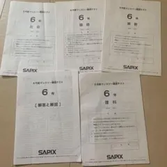 2026年最新】sapix マンスリーテスト 6年の人気アイテム - メルカリ