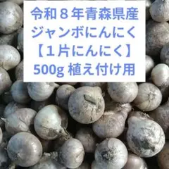 令和８年青森県産ジャンボにんにく１片にんにくバラ500g植え付け用のサムネイル