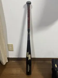 Item thumbnail for item eaf486fe-c47b-4032-ab96-912da515b5da