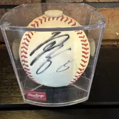 千葉ロッテマリーンズ 記念グッズ