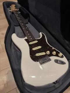 ねこ様専用】PRS SE Custom エレキギター 白 限定モデル - メルカリ