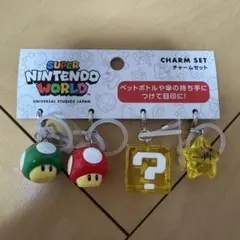 マリオ めじるしアクセサリーのサムネイル