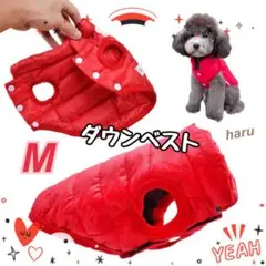 Item thumbnail for item 678a5b96-54e2-4ded-af51-221fda419ddf