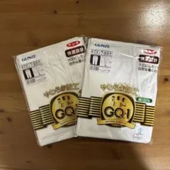 【新品未使用】GUNZE 100%コットン下着 半ズボン下(前あき) Ｌサイズ