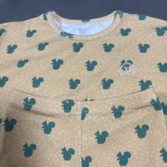 poimeri リス　セットアップ　100