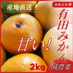 ◇★農家直送★ 和歌山 減農薬 有田みかん 2kg 0101