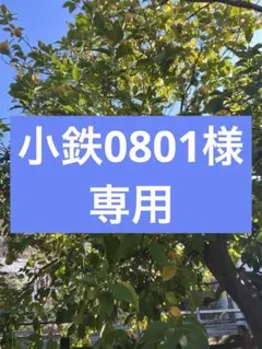 小鉄0801様専用